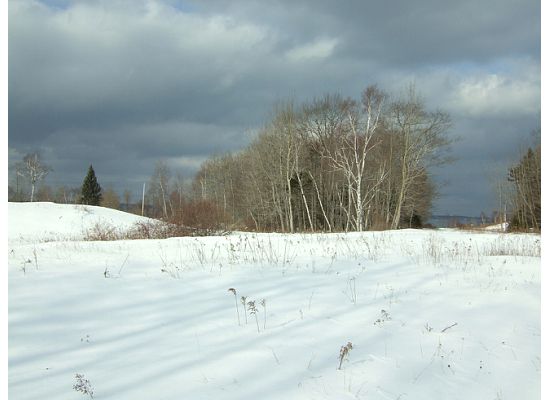 conservation area January 2011